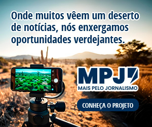 /apidata/imgcache/676934f3b347bb11ac29e12aa7bbf424.jpeg?banner=col4&when=1770075136&who=22