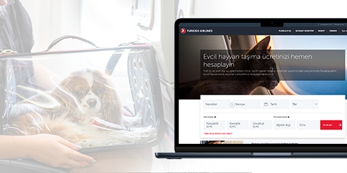 Viajar com Animais de Estimação: Turkish Airlines Compartilha 10 Dicas